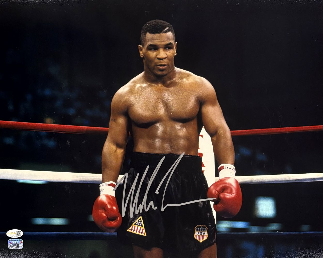 Mike Tyson Signed 16x20 Boxing Stare Photo JSA QR Hologram | eBay